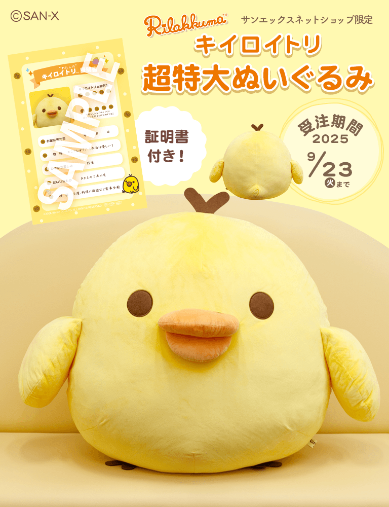 yzLCCgʂ