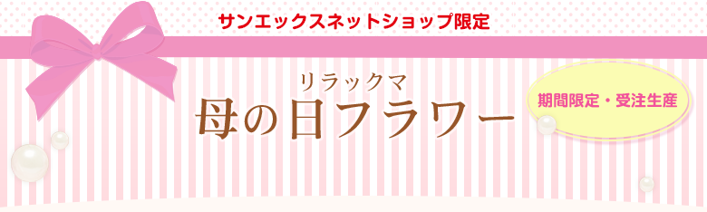 サンエックスネットショップ - ネットショップ限定 リラックマ母の日フラワー