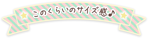 このくらいのサイズ感♪