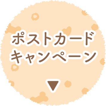 |XgJ[hLy[