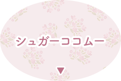 �V���K�[�R�R���[