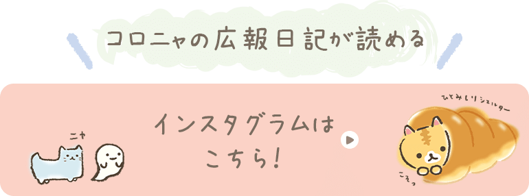 Rj̍LLǂ߂CX^O͂I