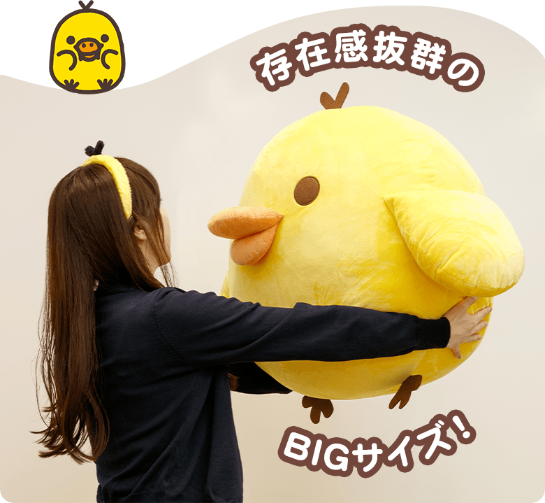 存在感抜群のBIGサイズ!