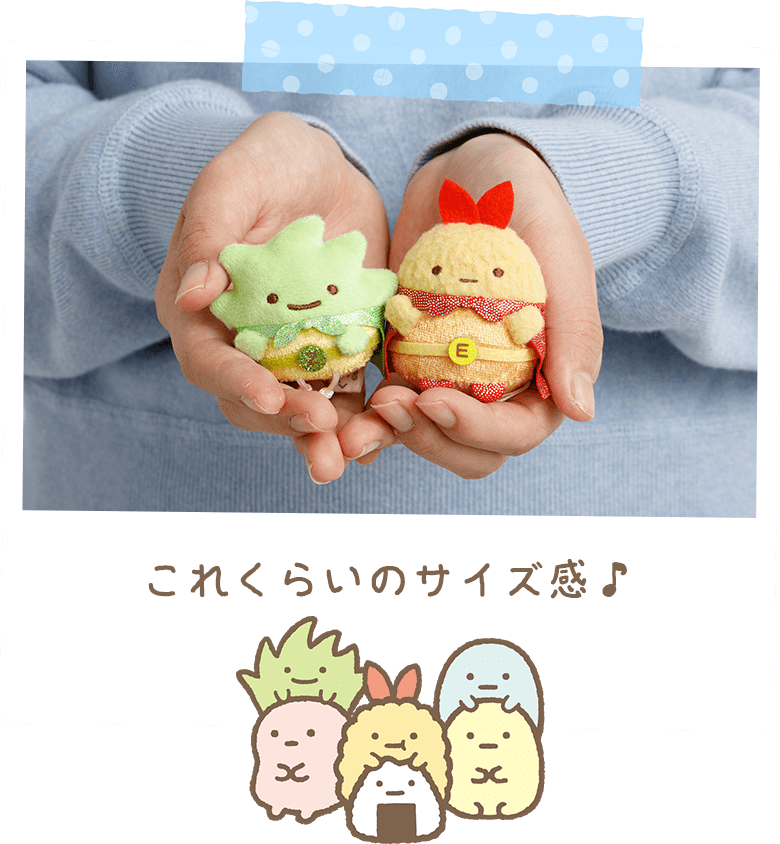 ���ꂭ�炢�̃T�C�Y����