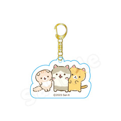 ころころコロニャ アクリルキーホルダー（集合）