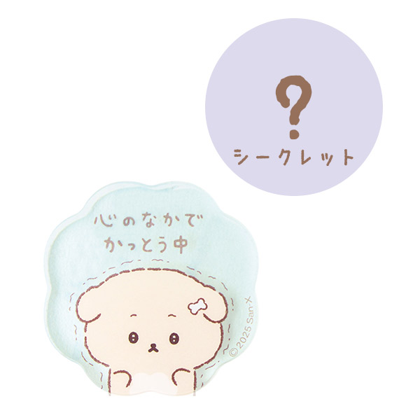 킿 V[NbgANXebJ[5
