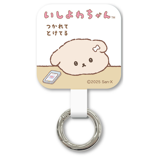 ������킿��� �}���`�����O�v���X�i����ĂƂ��Ă�j