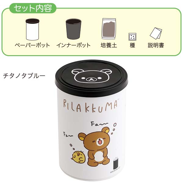 アガベ栽培キット(stay with me・チタノタブルー)