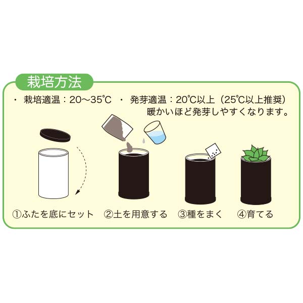 �A�K�x�͔|�L�b�g�istay with me�E�`�^�m�^�u���[�j2