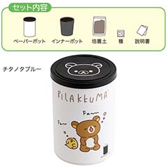 アガベ栽培キット（stay with me・チタノタブルー）