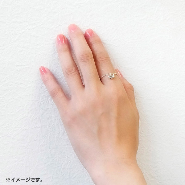 �����b�N�} �`�F�[���t���[�T�C�Y�����O�i�V���o�[�J���[�j5