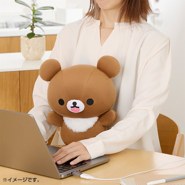 ���������ʂ�����݁i�`���C���C�R�O�}�j2