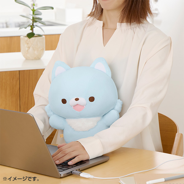 ���������ʂ�����݁i�A�I�C�R�I�I�J�~�j2