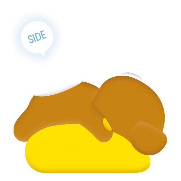 �v�`�����b�N�}�}�X�R�b�g�i�����b�N�}�E�����j2