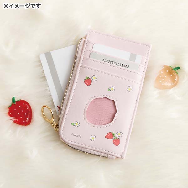 �t���O�����g�P�[�X�i�Ƃ����̂�������g�R�����b�N�}�j2