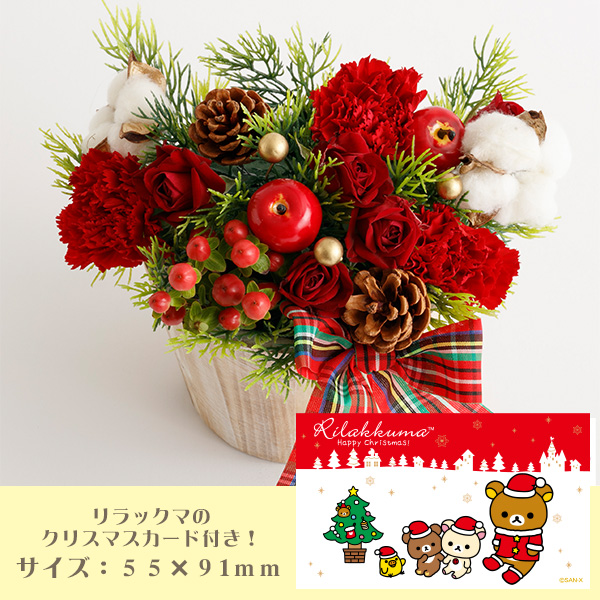 NX}Xt[MtgiRbN}j[J[iiԑюwsjyԂ͂z2