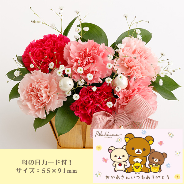 ��̓��t�����[�M�t�g�i�R�����b�N�}�j�����[�J�[�����i�i���ԑюw��s�j�y���Ԃ��͂��z2