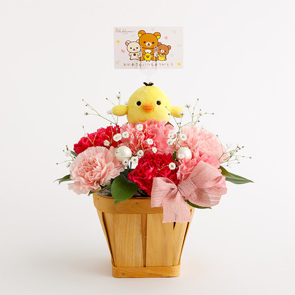 ��̓��t�����[�M�t�g�i�L�C���C�g���j�����[�J�[�����i�i���ԑюw��s�j�y���Ԃ��͂��z