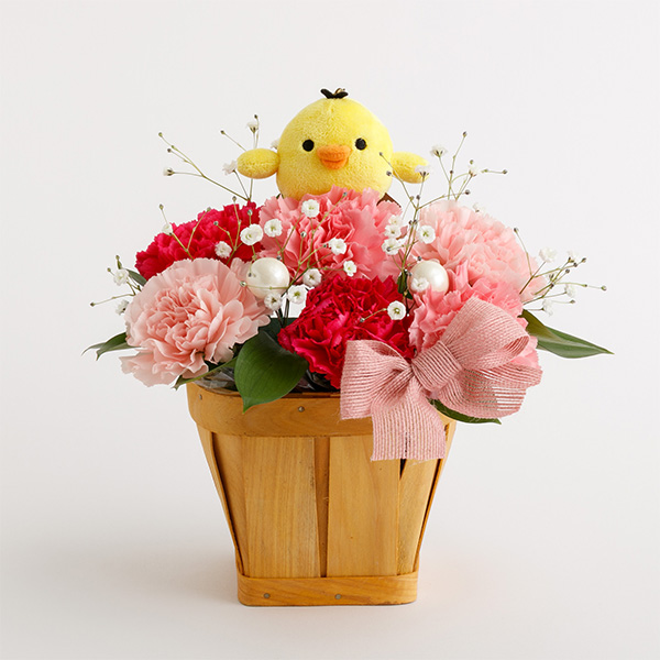 ��̓��t�����[�M�t�g�i�L�C���C�g���j�����[�J�[�����i�i���ԑюw��s�j�y���Ԃ��͂��z1