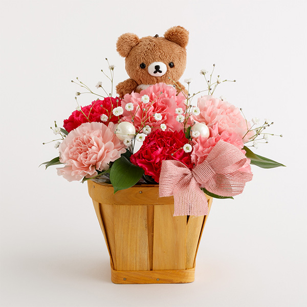 ��̓��t�����[�M�t�g�i�`���C���C�R�O�}�j�����[�J�[�����i�i���ԑюw��s�j�y���Ԃ��͂��z1