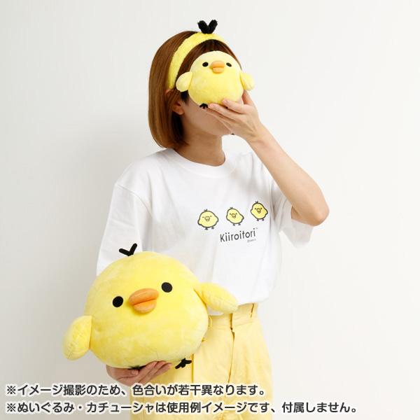 bN}TVciBASIC RILAKKUMA Favorite ThingsELCCgj4