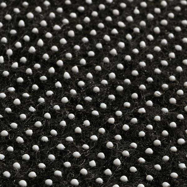 �}�b�g�i�ʂ�����A���V���{���̖�Ɂj2