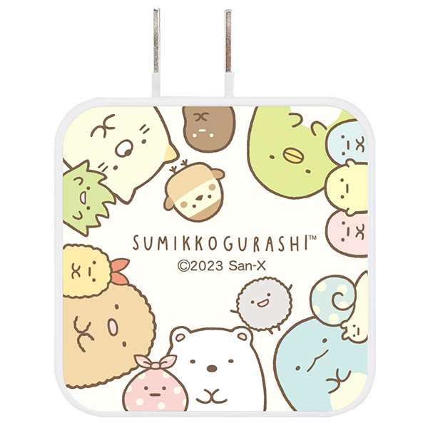 ݂R炵 USB/USB Type-C ACA_v^iWj