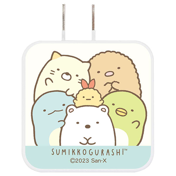 ݂R炵 USB/USB Type-C ACA_v^iAbvj