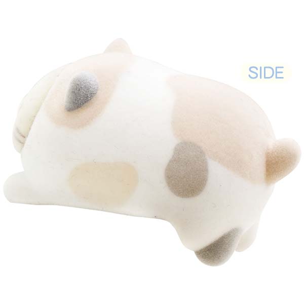 �v�`���݂��R�V�[���}�X�R�b�g�i�˂��j1