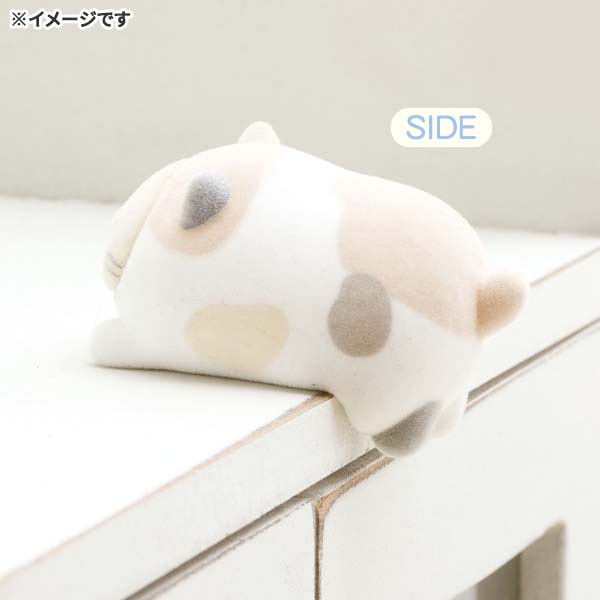 �v�`���݂��R�V�[���}�X�R�b�g�i�˂��j3