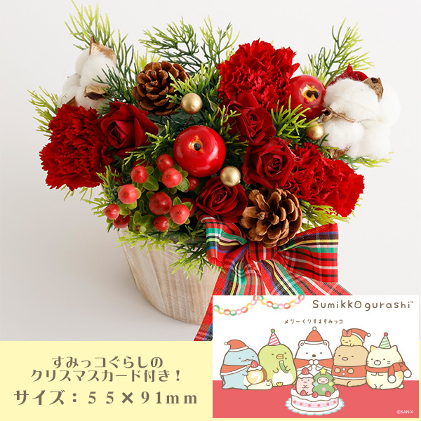 NX}Xt[Mtgi˂j[J[iiԑюwsjyԂ͂z2