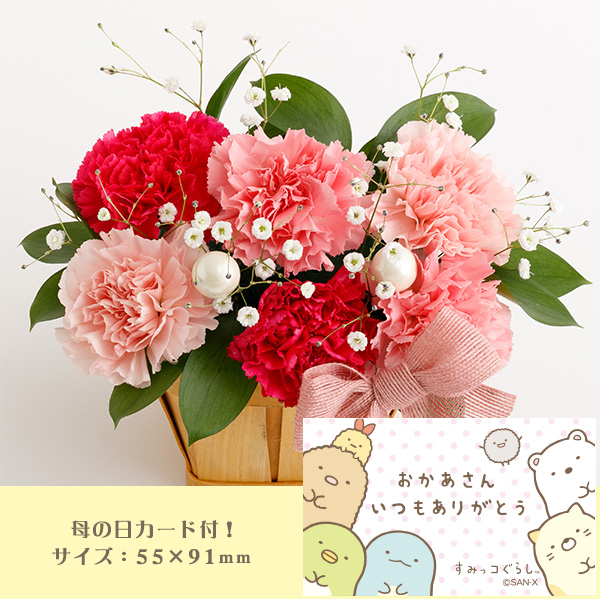 ��̓��t�����[�M�t�g�i�Ƃ������Ƃ����̂���������j�����[�J�[�����i�i���ԑюw��s�j�y���Ԃ��͂��z2