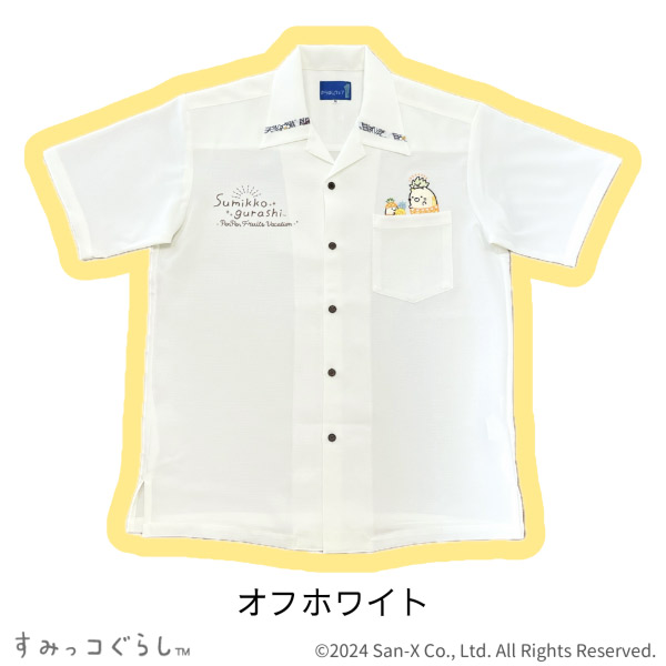 ݂R炵 䂵EFAi؂؂t[coP[VEItzCg/90jy2024N9{͂\z