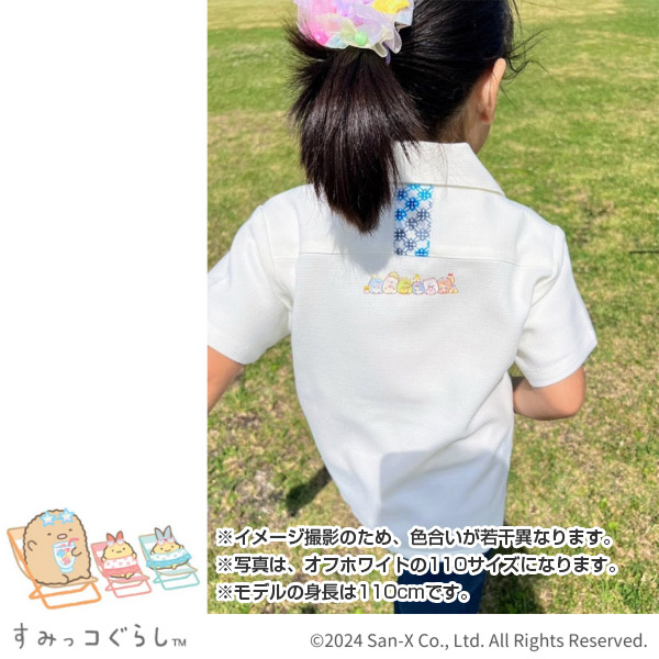 ݂R炵 䂵EFAi؂؂t[coP[VEItzCg/90jy2024N9{͂\z5