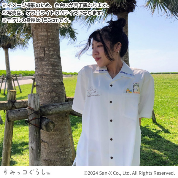 ݂R炵 䂵EFAi؂؂t[coP[VEItzCg/Sjy2024N9{͂\z2