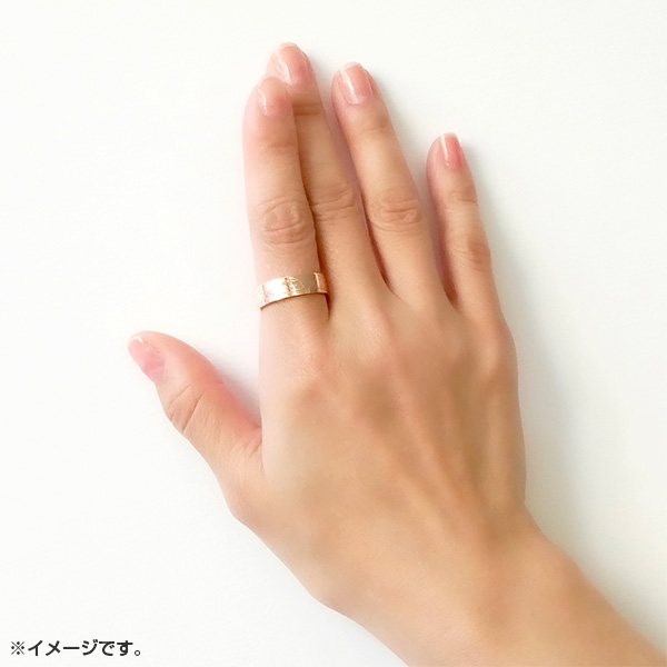 ݂R炵 Oy_giwf ݂R炵 ̉Ƃӂ̃RxEsNS[hJ[/17jy2026N1{͂\z5