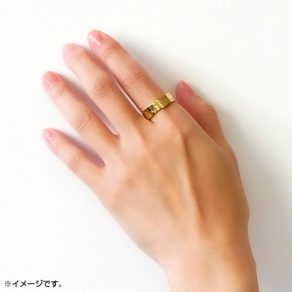 ݂R炵 Oy_giwf ݂R炵 ̉Ƃӂ̃RxECG[S[hJ[/17jy2026N1{͂\z5