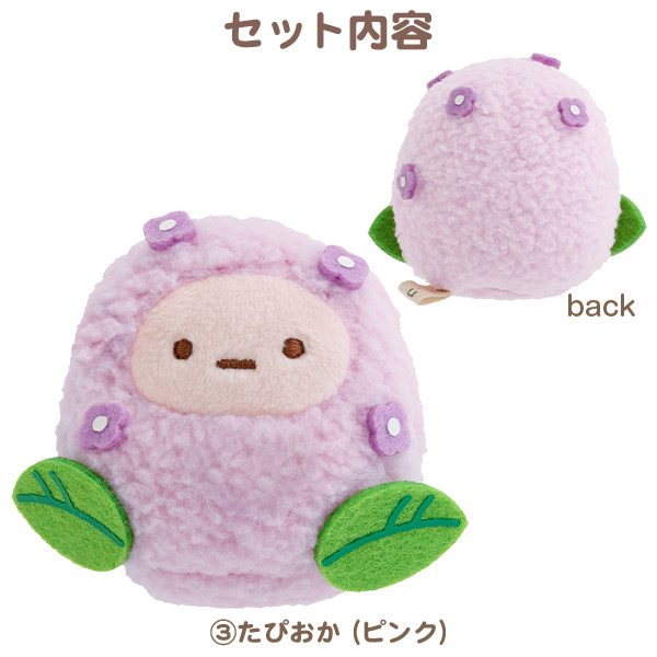 �~�J�ʂ�����݃Z�b�g�y2026�N5�����{���͂��\��z3