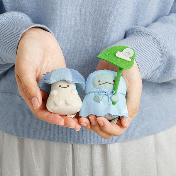 �~�J�ʂ�����݃Z�b�g�y2026�N5�����{���͂��\��z9