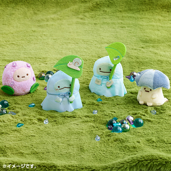 �~�J�ʂ�����݃Z�b�g�y2026�N5�����{���͂��\��z10