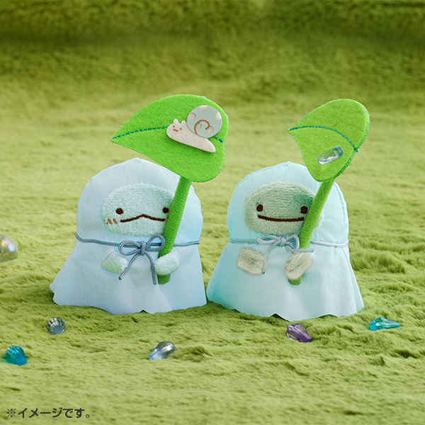 �~�J�ʂ�����݃Z�b�g�y2026�N5�����{���͂��\��z11