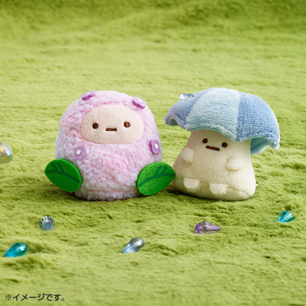 �~�J�ʂ�����݃Z�b�g�y2026�N5�����{���͂��\��z12