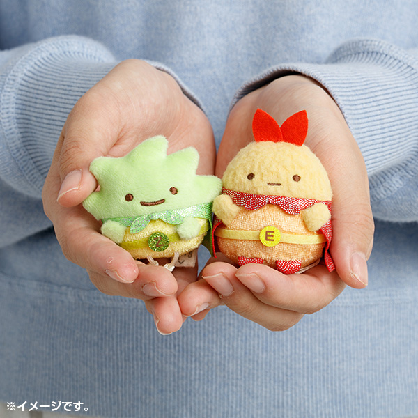 �݂ɂ��R�q�[���[�Y�Ă̂�ʂ�����݃Z�b�g�y2026�N6����{���͂��\��z8