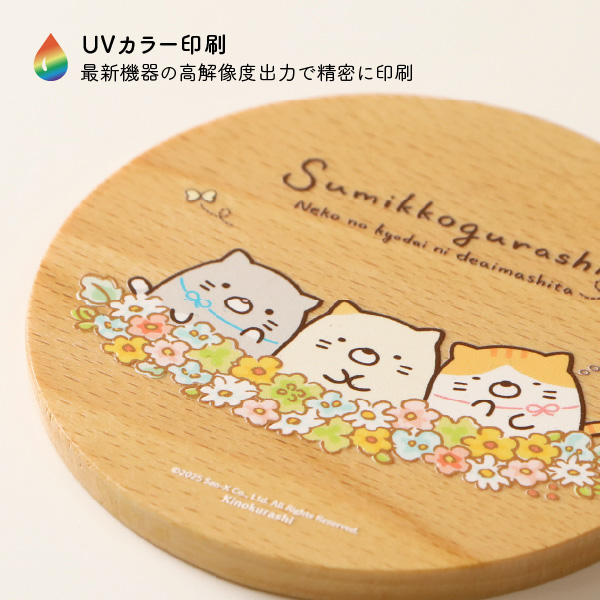 ���݂��R���炵 �ؐ��R�[�X�^�[�iB�j�y2026�N3�����{���͂��\��z2