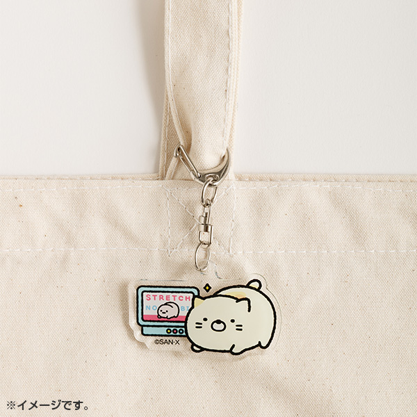 ���݂��R���炵 �A�N�����L�[�z���_�[�i�˂��̓��E�˂��j�y2026�N3�����{���͂��\��z2