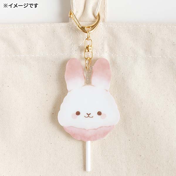 ANL[z_[i[[ƃ|bṽLfBfCEVK[RR[j2