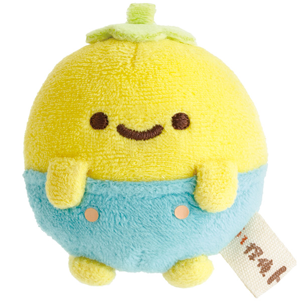 ƂꂽĂĂ̂ʂ݁iTg}gEvb`[j
