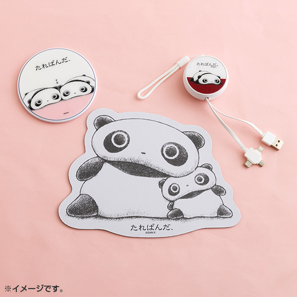 ����ς� USB�P�[�u���y2026�N3�����{���͂��\��z2